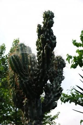 Appartement Panagiota