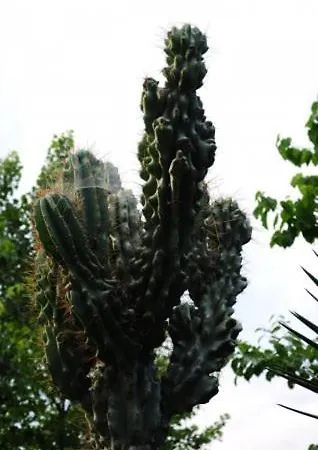 Appartamento Panagiota